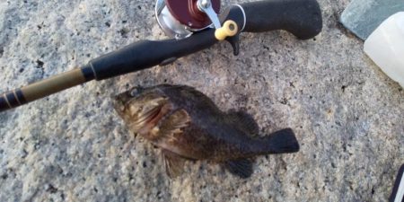 ライトロックで行こう