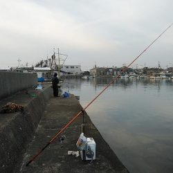 暖かい釣行でした