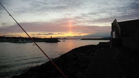 江井島のキス調査