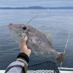 マイボート釣行