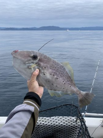 マイボート釣行