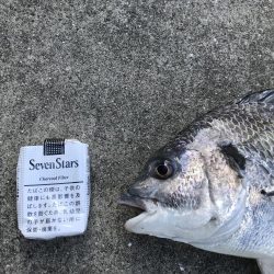 雨後の濁りに期待