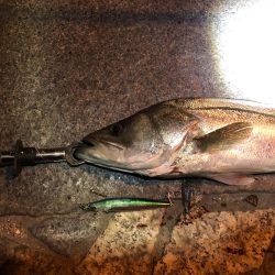 フラッシュブースト！