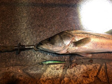 フラッシュブースト！