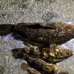 色んなサイズ釣れました☆☆