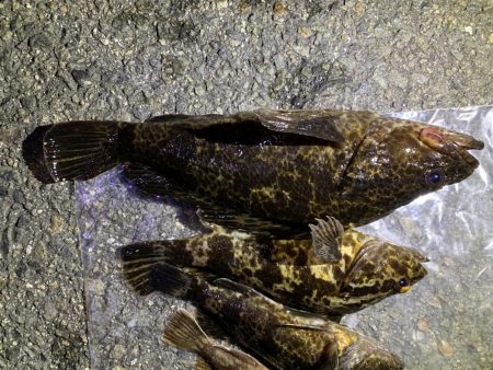 色んなサイズ釣れました☆☆