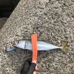 おつかれモード