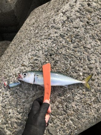 おつかれモード