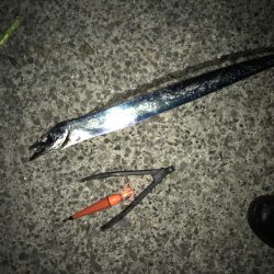 シーズン初のマルチヒット