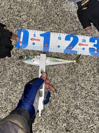 1週間ぶりの浜田市へ、アジング