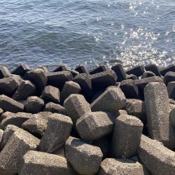 投げ釣りから穴釣りに変更