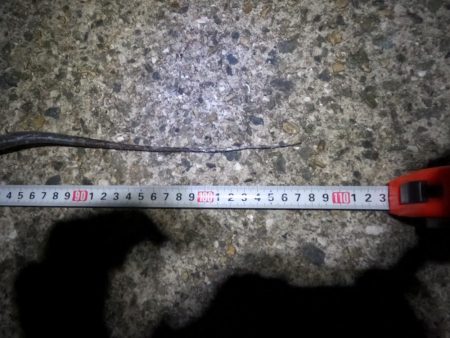 ドラゴンゲット