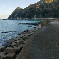 少し波が、落ちすぎたけど