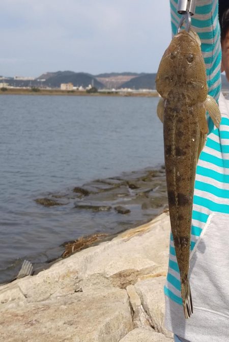 フラットフィッシュゲーム