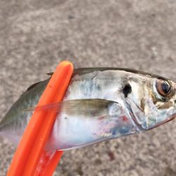 10分チャレンジ