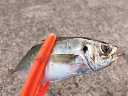 10分チャレンジ