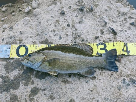 晩秋川バス釣行2