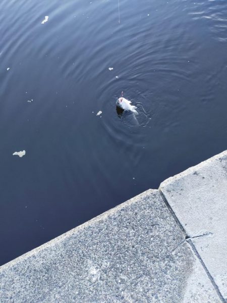 面倒な時はスプーンで