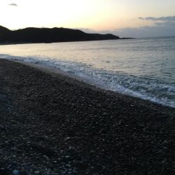 アイゴ、メッキ、コバンアジ、シマイサキ