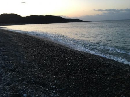 アイゴ、メッキ、コバンアジ、シマイサキ