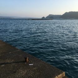 シマアジ、アイゴ