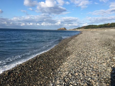 イサキ、タイ、アイゴ