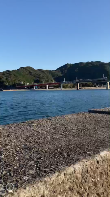 初めてグレを釣りました！