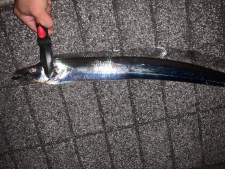 128㎝　正真正銘ドラゴン