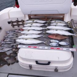 SOUTH(サウス) 11/1釣果