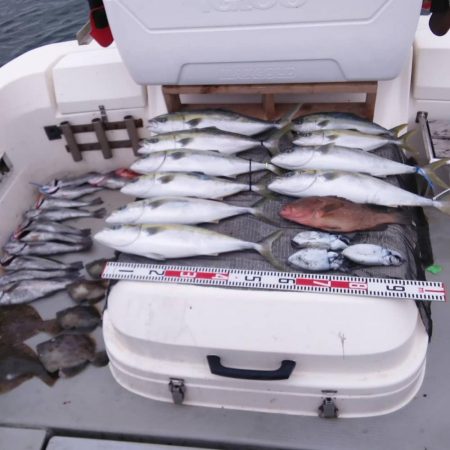 SOUTH(サウス) 11/1釣果