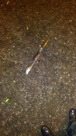 久々タチウオ。青物には嫌われ