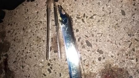 ウキでタチとアジ釣れる