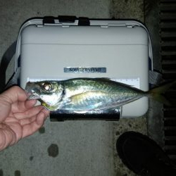 先週のリベンジ