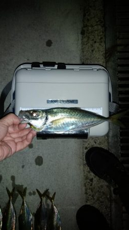 先週のリベンジ