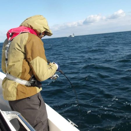 遊漁船SOUTH 11/11釣果