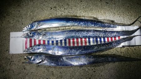 スローに誘って