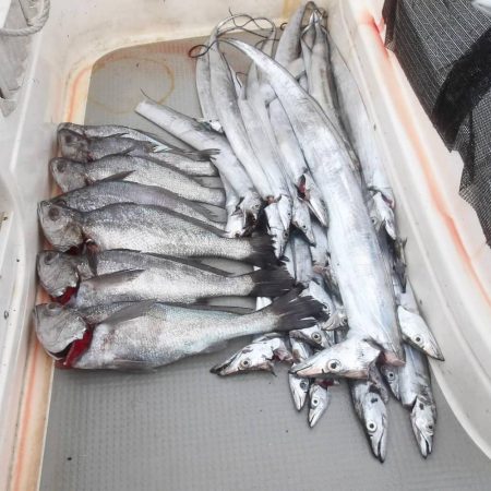 遊漁船SOUTH(サウス)釣果