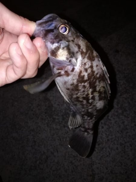 ライトロックゲーム