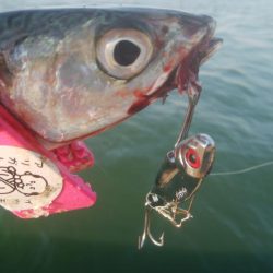 釣りデビュー 9日目