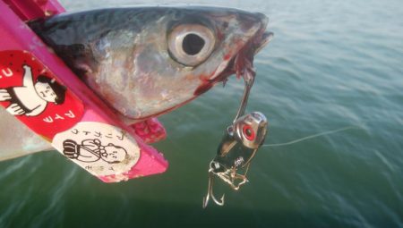 釣りデビュー 9日目