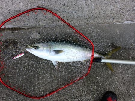 早朝のプチsalt water game！