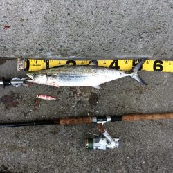 早朝プチsalt water game!