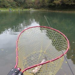 久しぶりのエリア！