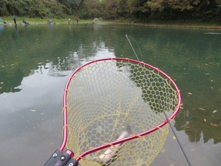 久しぶりのエリア！