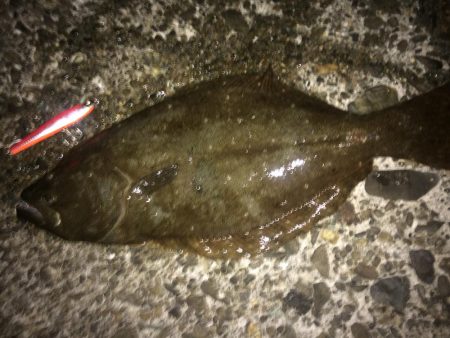 魚より釣り人多し