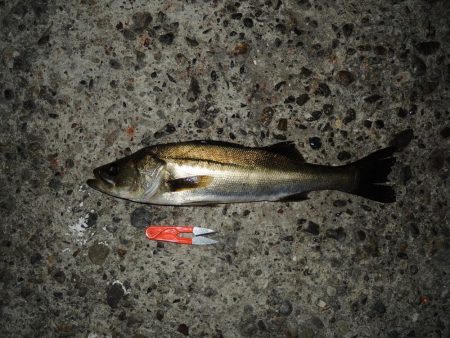 最後にようやくハネ