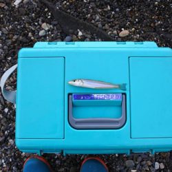 落ちギス釣り 強風で退散