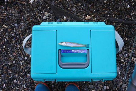 落ちギス釣り 強風で退散