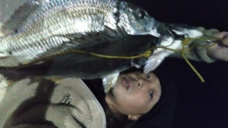 チヌは小さいが、キビレは元気!