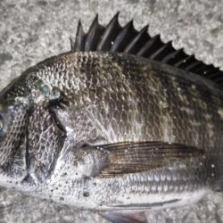 ラスト一投で！！うれしぃ！